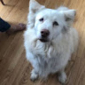 Meet your Posher, Freyja